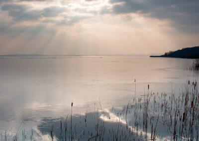naturfotografie.de - Location Tipps - Naturpark Steinhuder Meer