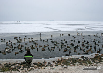 naturfotografie.de - Location Tipps - Naturpark Steinhuder Meer