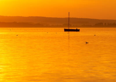 naturfotografie.de - Location Tipps - Naturpark Steinhuder Meer