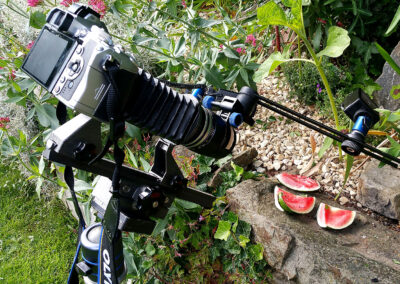 Naturfotografie.de - Makrofotogrfie mit Balgen