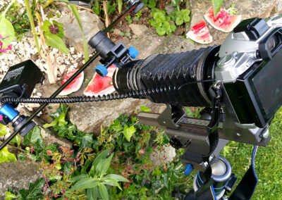 Naturfotografie.de - Makrofotogrfie mit Balgen