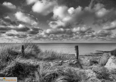 naturfotografie.de - Sylt Nord