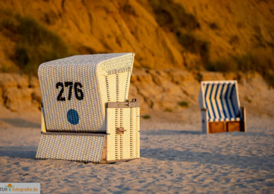 naturfotografie.de - Sylt Nord
