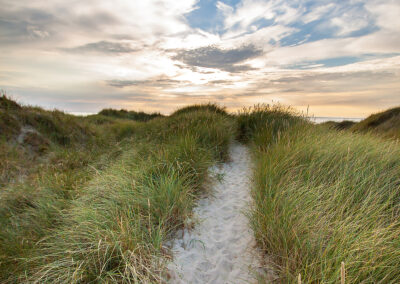 naturfotografie.de - Sylt Nord