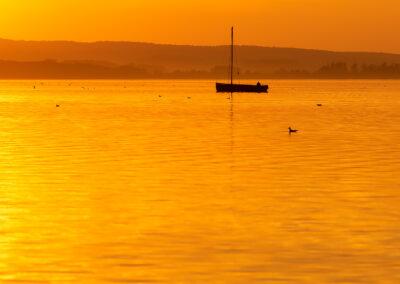 naturfotografie.de - Steinhuder Meer
