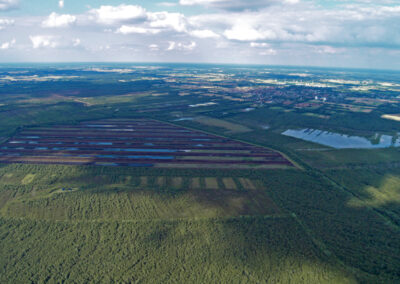 naturfotografie.de - Steinhuder Meer