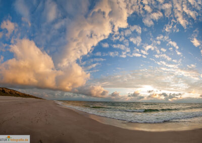 naturfotografie.de - Sylt Nord
