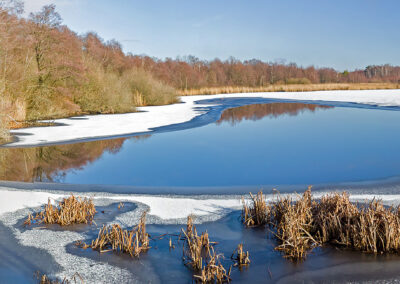naturfotografie.de - Steinhuder Meer
