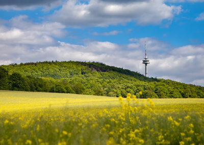 naturfotografie.de - Landschaften