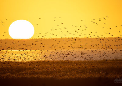 naturfotografie.de - Landschaften