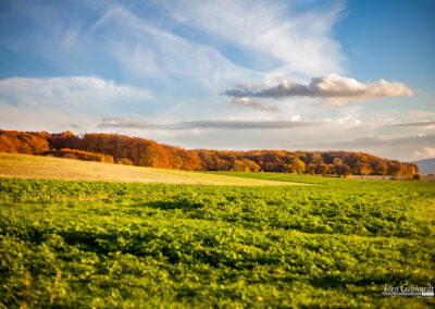 naturfotografie.de - Landschaften