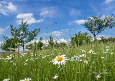 naturfotografie.de - Landschaften