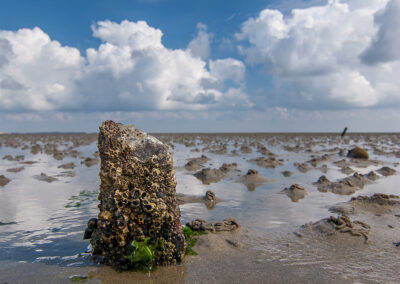 naturfotografie.de - Landschaften