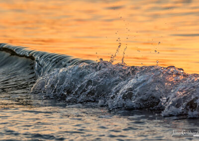 naturfotografie.de - Fischland-Darß-Zingst