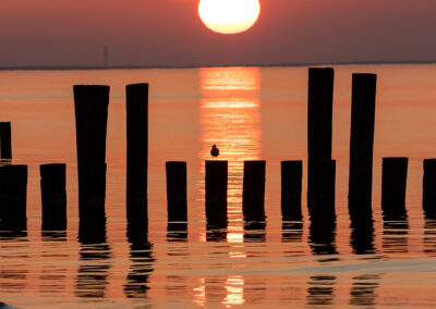 naturfotografie.de - Fischland-Darß-Zingst