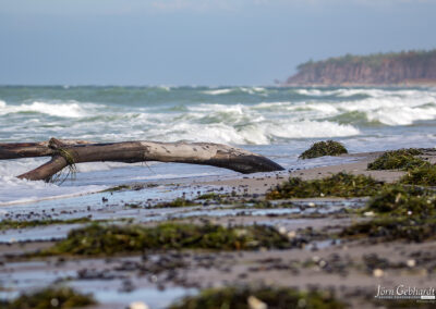naturfotografie.de - Fischland-Darß-Zingst