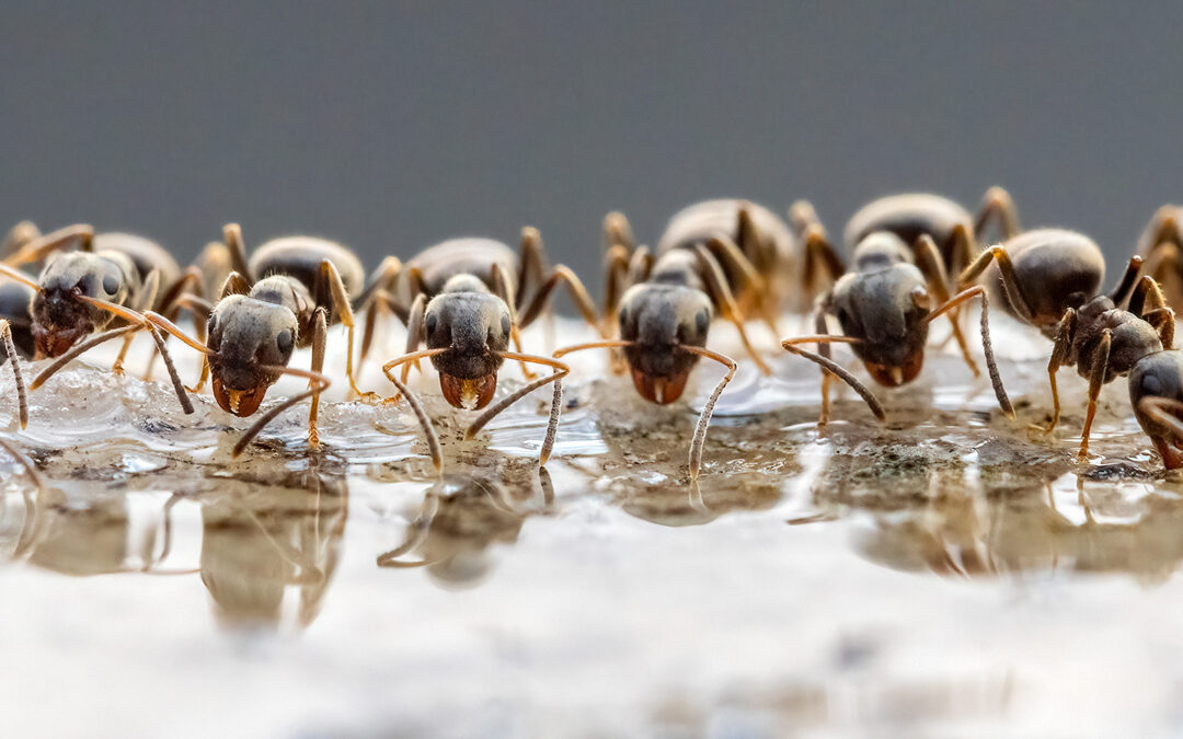 Fotomotive finden im August