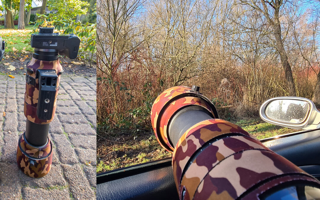 Ein perfektes Supertele? Das Sigma Sports 60-600 mm + Extender