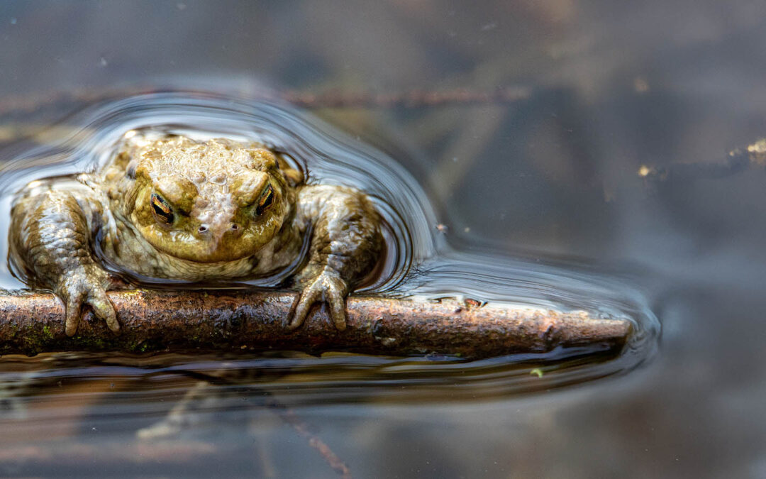 Fotomotive finden im März