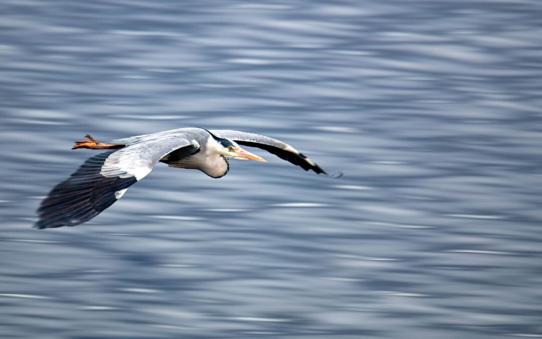 Fotomotive finden im April