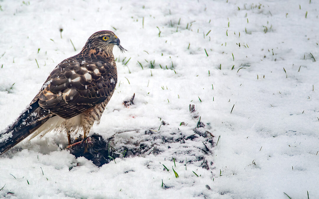 Fotomotive finden im Januar / Februar