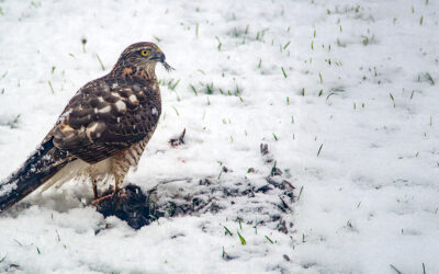 Fotomotive finden im Januar / Februar